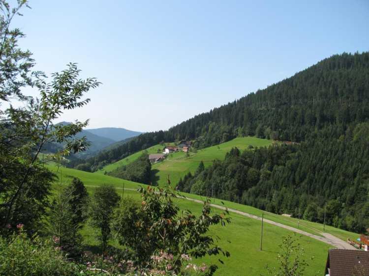 Gaestehaus Gerda Bad Peterstal-Griesbach Dış mekan fotoğraf