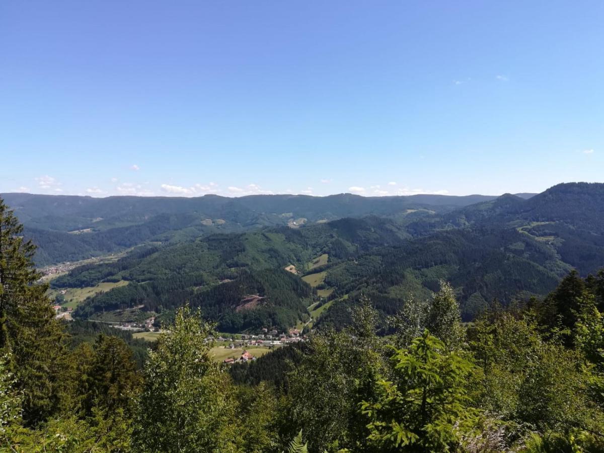 Gaestehaus Gerda Bad Peterstal-Griesbach Dış mekan fotoğraf