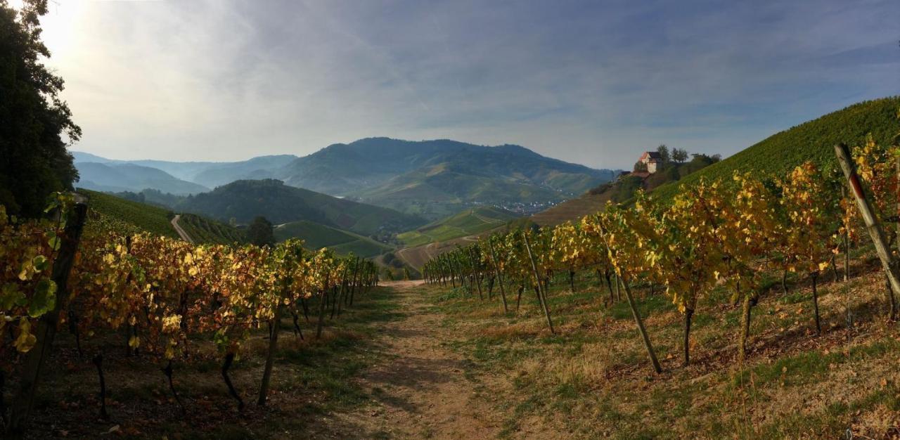 Gaestehaus Gerda Bad Peterstal-Griesbach Dış mekan fotoğraf