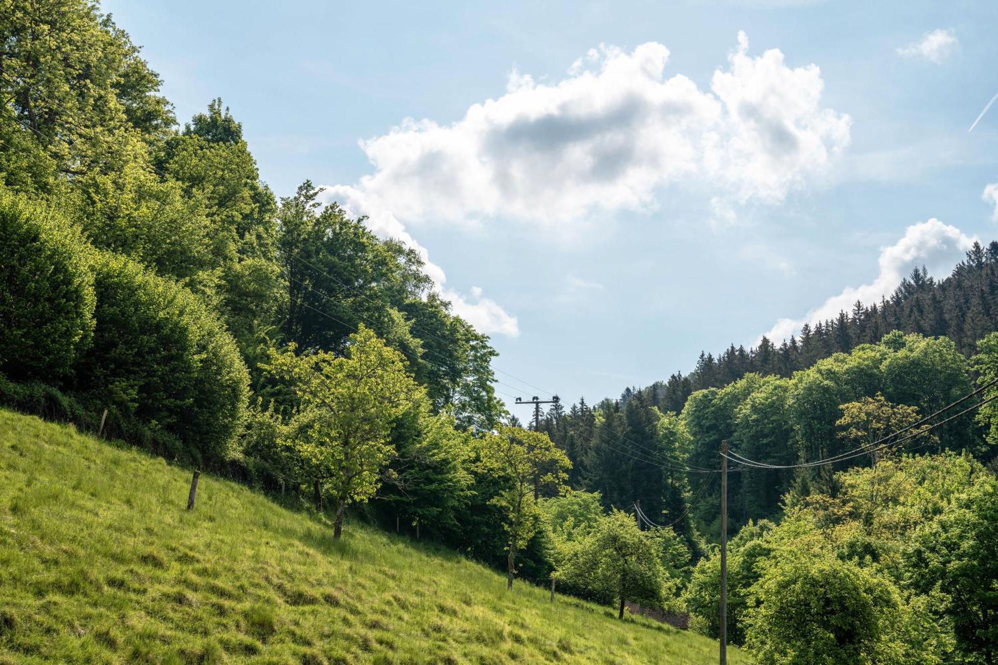 Gaestehaus Gerda Bad Peterstal-Griesbach Dış mekan fotoğraf